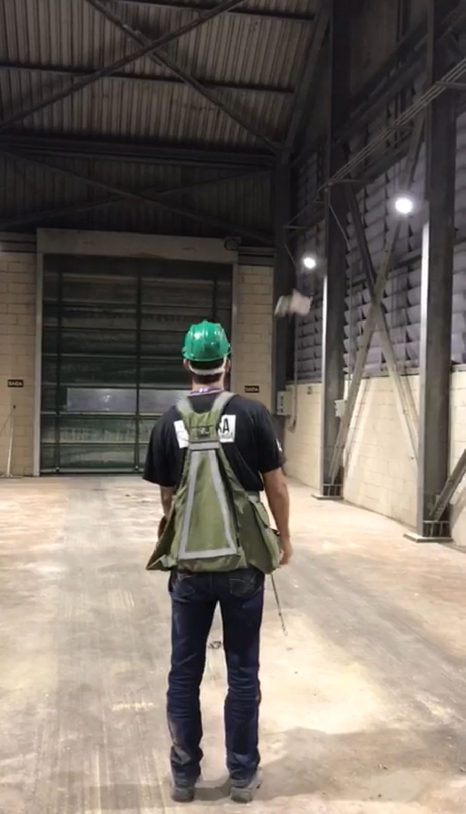 Controle de pombos com falcoaria